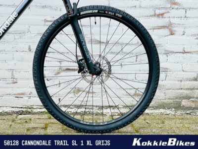 Cannondale Trail Sl 1 Grijs xl - Afbeelding 3