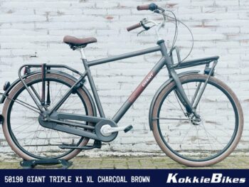 Giant Triple X1 Heren Charcoal Brown XL 2020