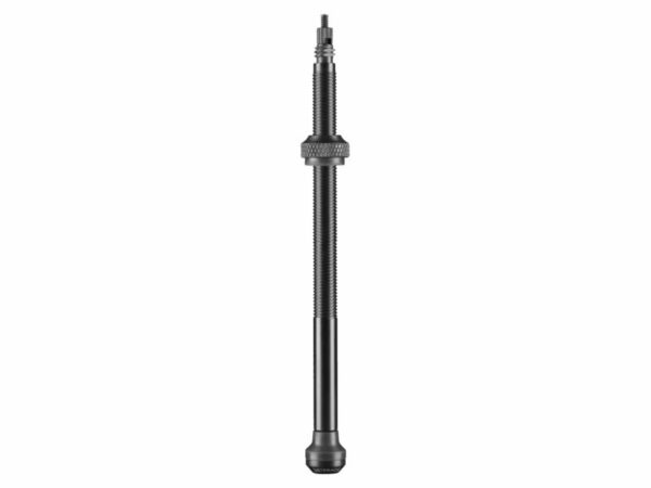 Schwalbe tubeless ventiel 100mm 2 stuks