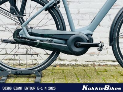 Giant Entour E+1 Ocean Storm M 2023 - Afbeelding 5