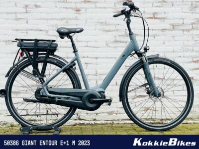 Giant Entour E+1 Ocean Storm M 2023 - Afbeelding 4