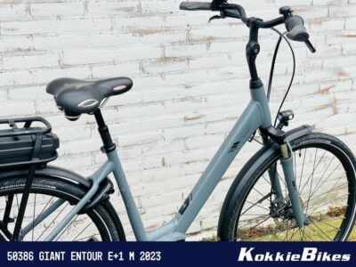 Giant Entour E+1 Ocean Storm M 2023 - Afbeelding 3