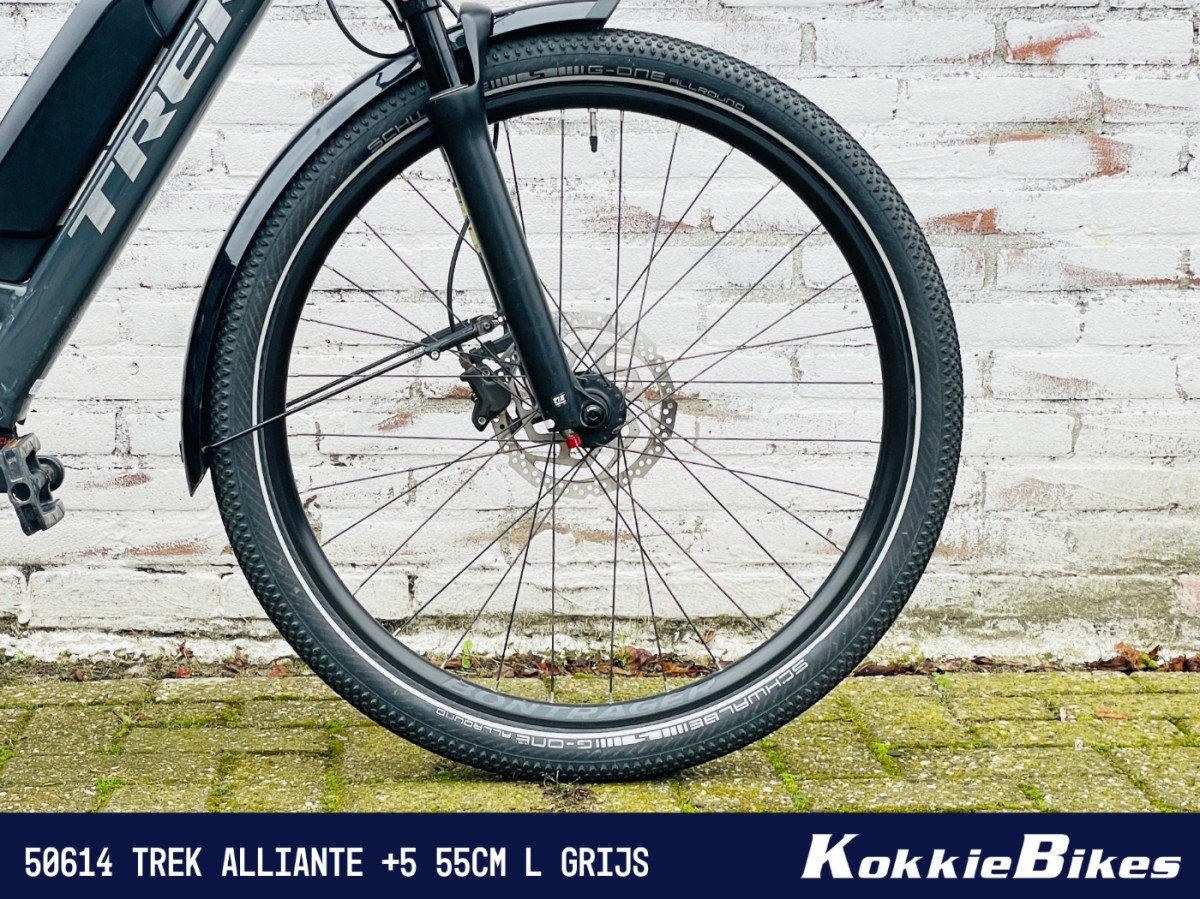 Trek Alliante +5 Grijs 55cm L - Afbeelding 3