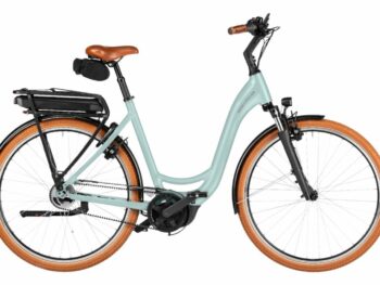 Riese & Müller Swing5 silent salvia matt 51cm 2026