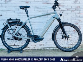 Koga Wordtrafeler E signature Rholoff Sage Green Shiny 60cm 2026