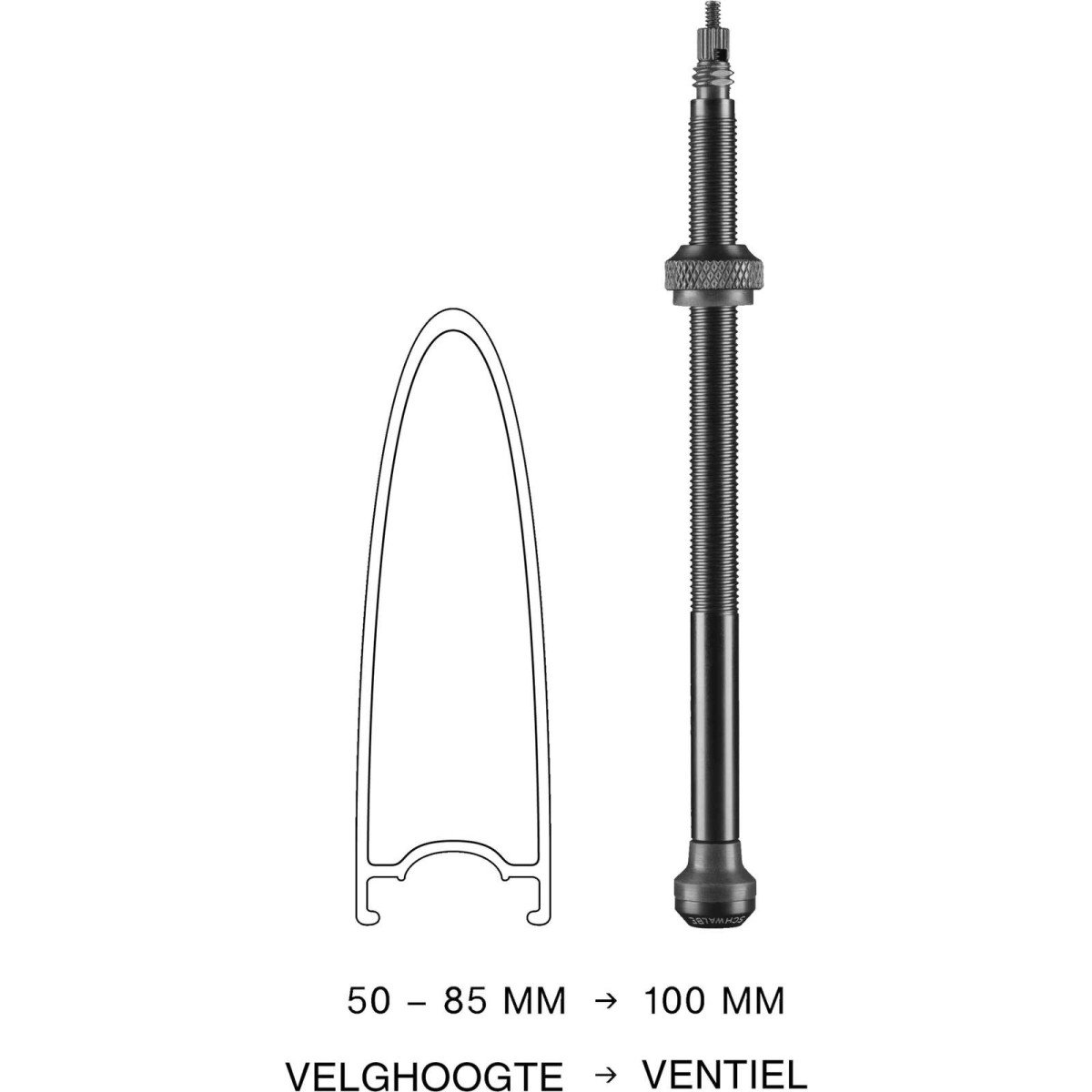 Schwalbe tubeless ventiel 100mm 2 stuks