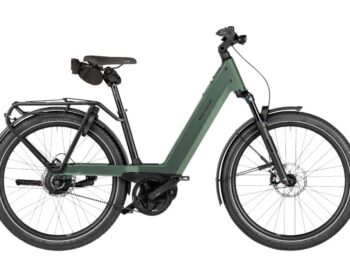 Riese & Müller Nevo5 vario Moss M 2027