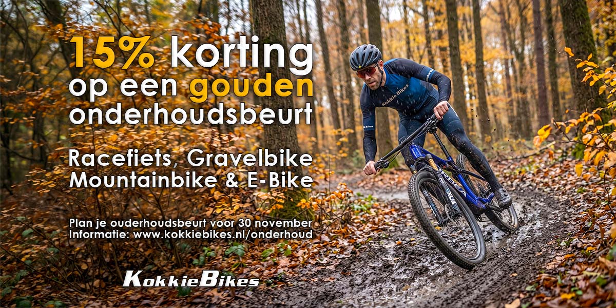 Header-winter-beurt actie-KokkieBikes 15% korting op een gouden beurt